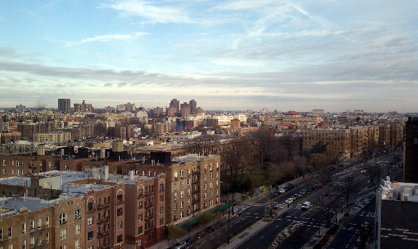 The Beautiful Bronx